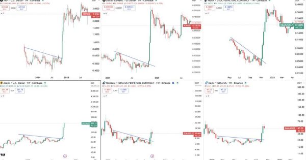 بعد از XRP، XLM و HBAR  نوبت پروازه این پروژه هاس