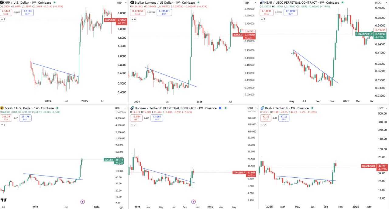 بعد از XRP، XLM و HBAR  نوبت پروازه این پروژه هاس