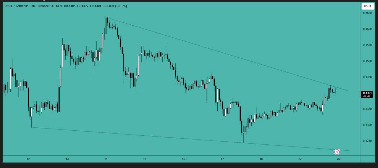 میم کوین معروف