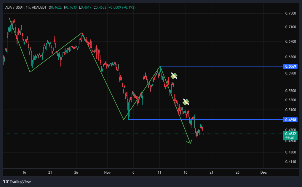 بعد از استاپ فیشینگ میریزه!