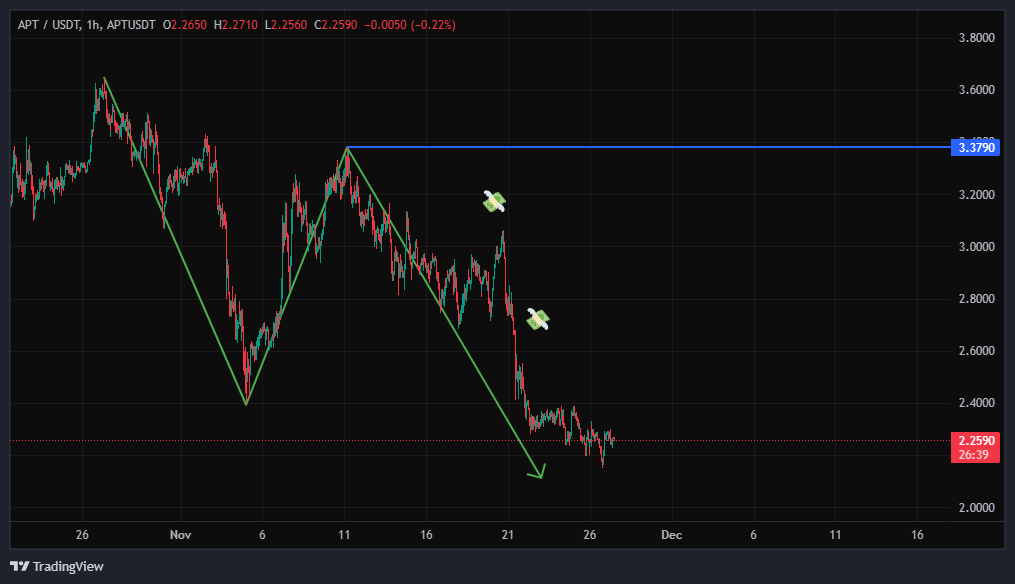 فردا پشیمون میشی از اینکه وارد این معامله نشدی