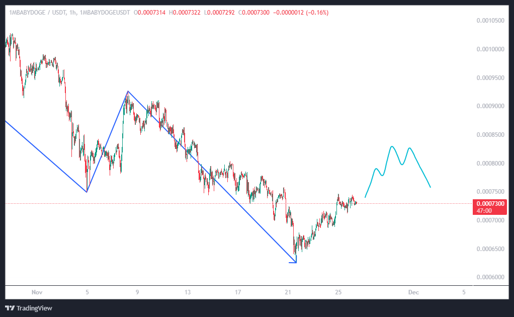 سفر BABYDOGE به سمت نور، اما پشت در جهنم!