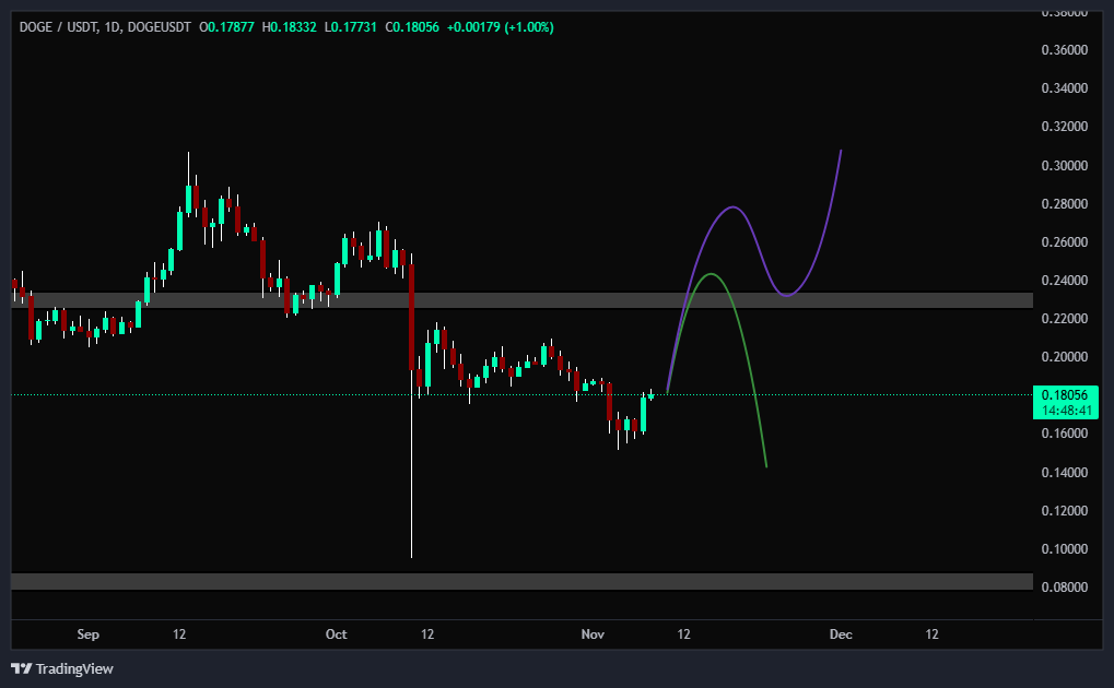 دوج کوین (DOGE)