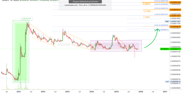 دوج کوین (DOGE)