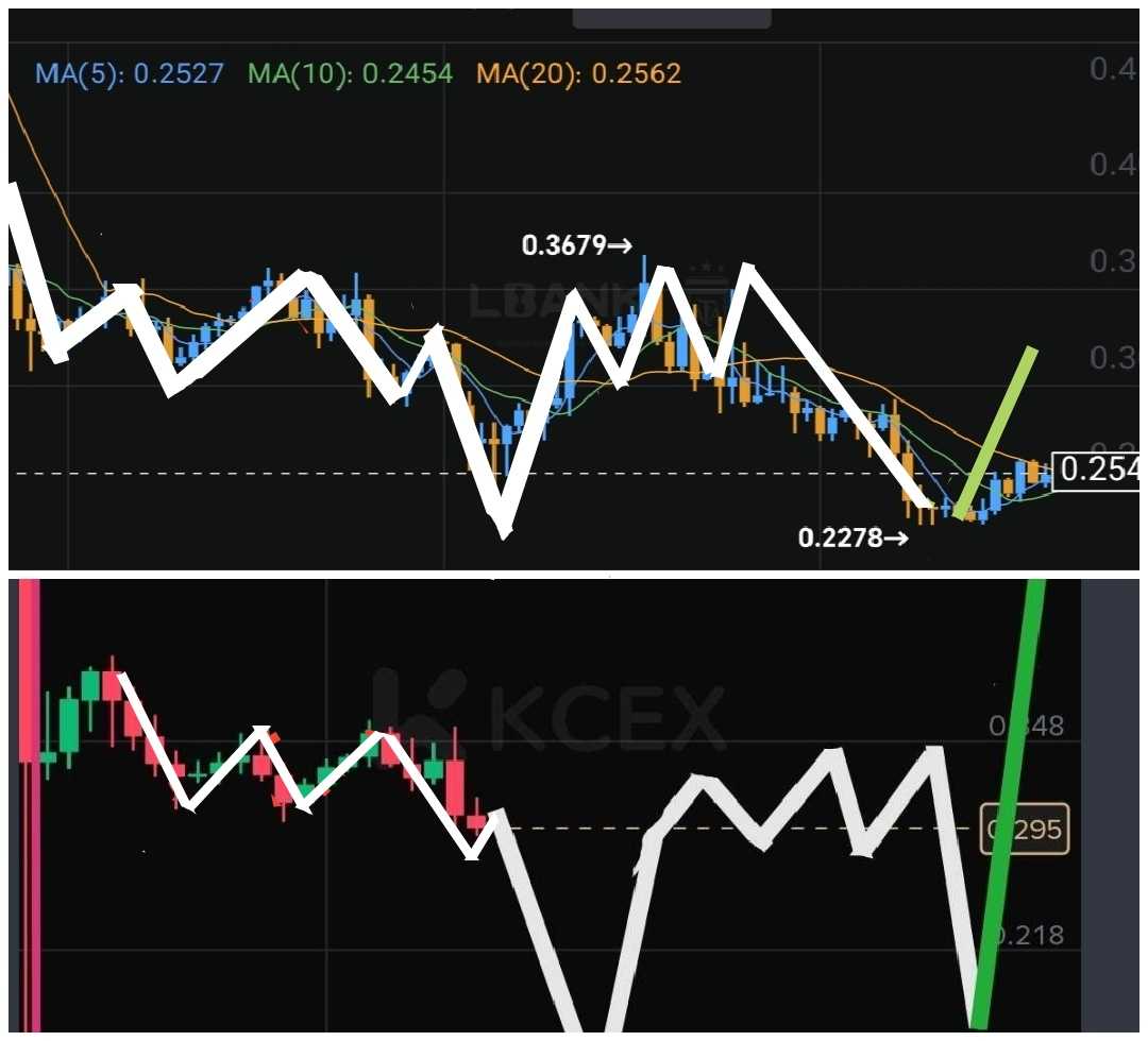تحلیل اصولی، امضای کار