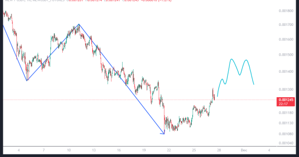 رویای پادشاهی این میم کوین رو به نابودی