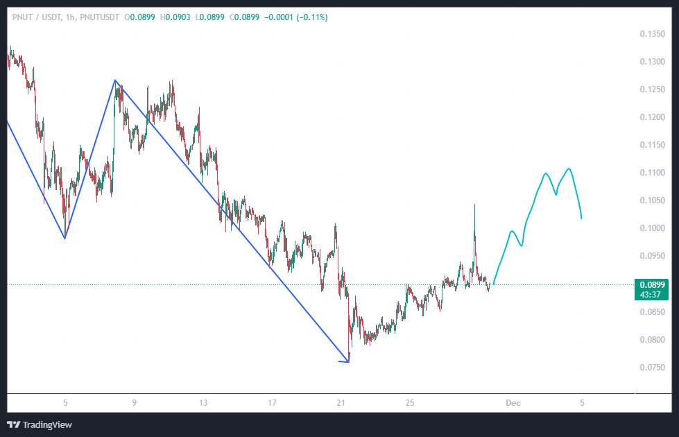 سیگنال میم کوین