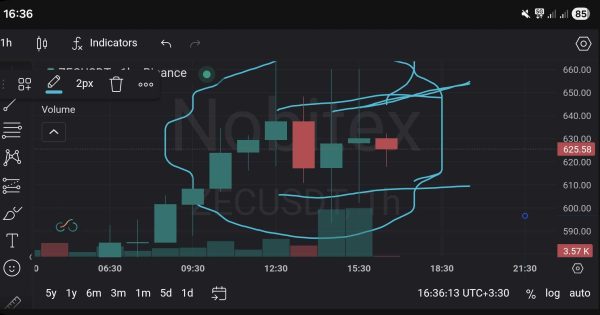 اصلاح زی کش