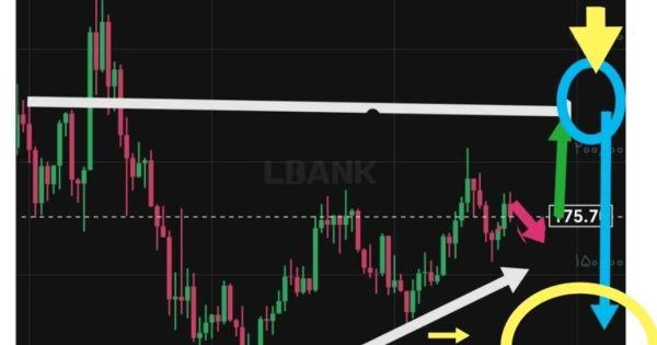 ایکس امپایر یا زیکش؟ سولانا