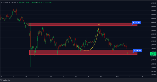 دژ نهایی بازار؛ کدام آلت‌کوین‌ها نجات پیدا میکنند؟