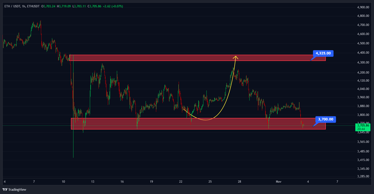 دژ نهایی بازار؛ کدام آلت‌کوین‌ها نجات پیدا میکنند؟
