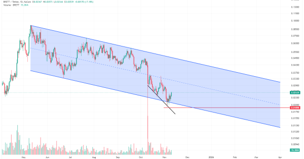 میم کوین پروازی