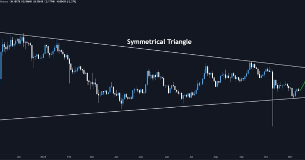 دوج کوین (DOGE)