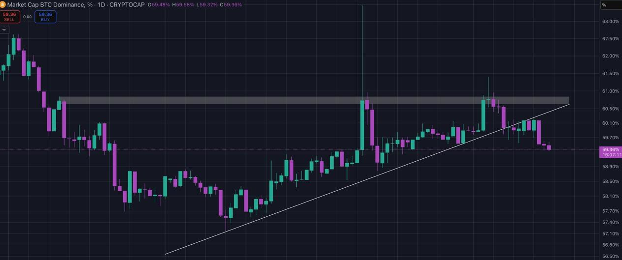 بیداری بزرگ آلتکوینها در دل نا امیدی
