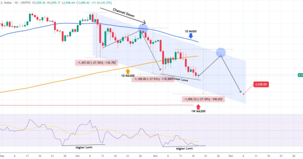 لبه‌ی پرتگاه رشد کوچیک همراهه یه دام قشنگ