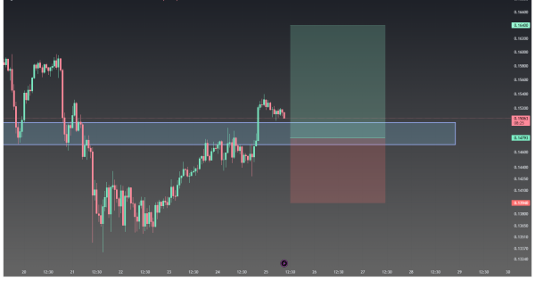 دوج کوین (DOGE)