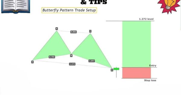الگوی Butterfly یکی از قدرتمندترین الگوهای بازگشتی بازار