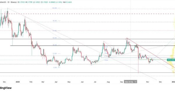 دوج کوین (DOGE)