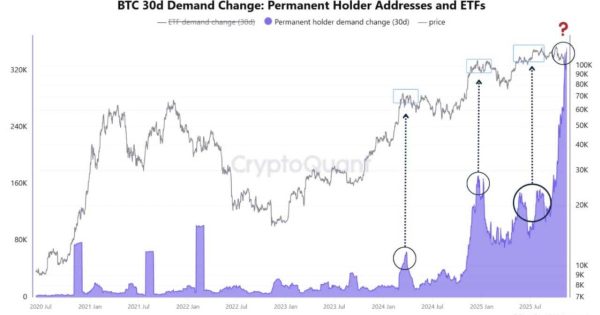 نهنگها وحشیانه در حال خرید