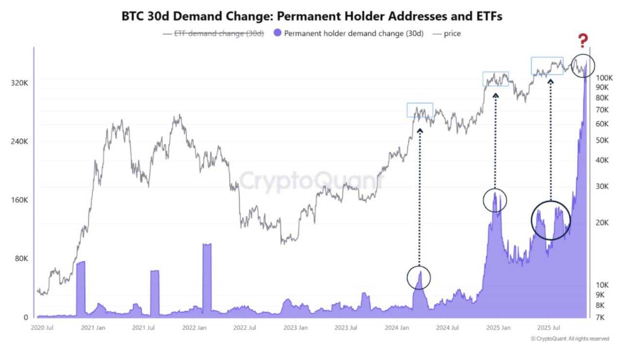 نهنگ‌ها وحشیانه در حال خرید