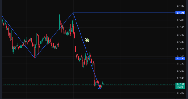 در انتظار برای شورت