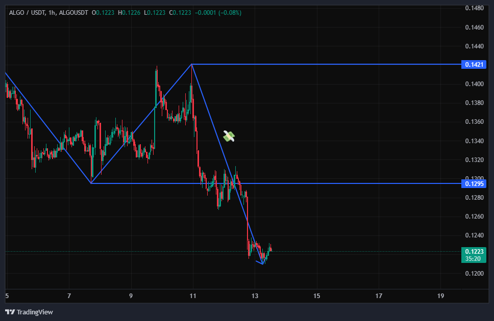 در انتظار برای شورت