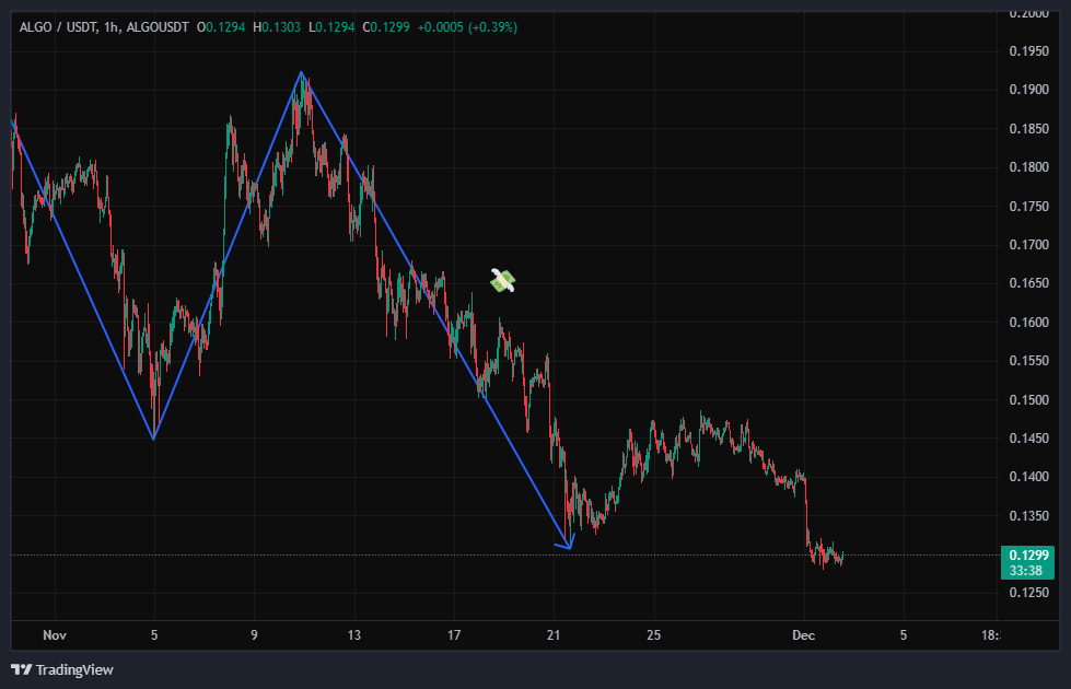 آخرین فرصت خروج