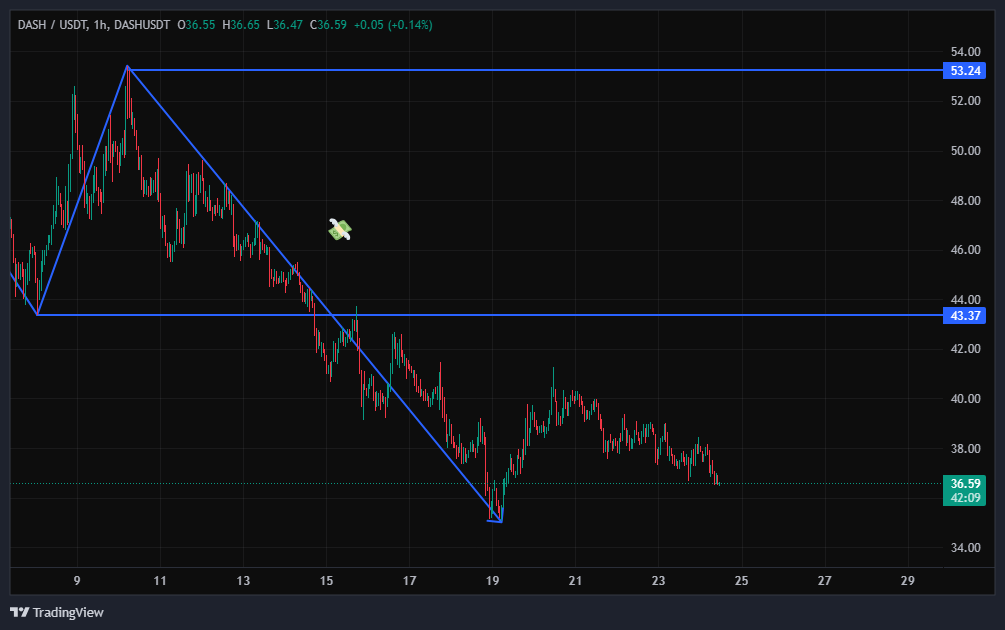سقوط این دسته از آلت کوین‌ها تازه میخواد شروع بشه!