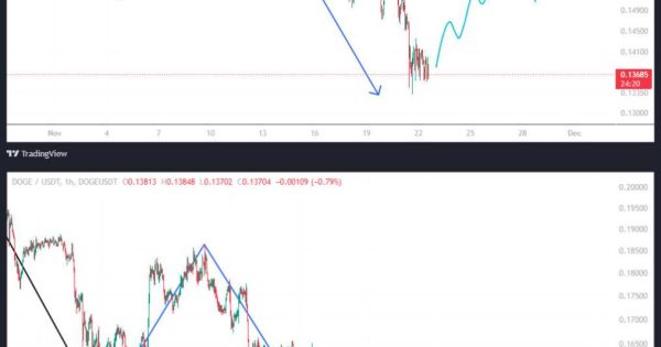 دوج کوین (DOGE)