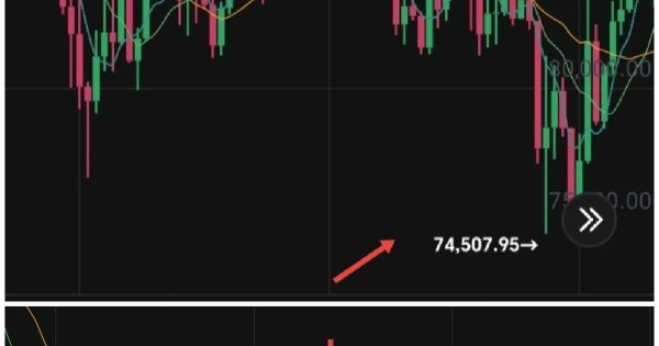 تاریخ ثابت کرده،بازار با الگو حرکت میکنه