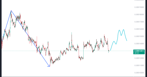 زنگ خطر برای این میم کوین به صدا در اومد