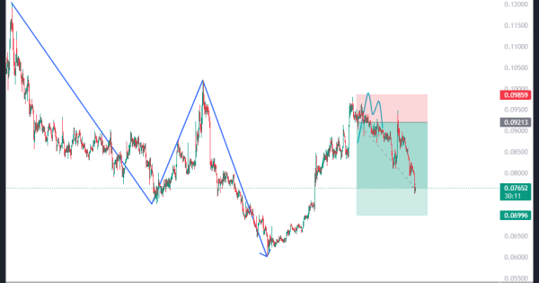 گرفتن سود از میم کوین