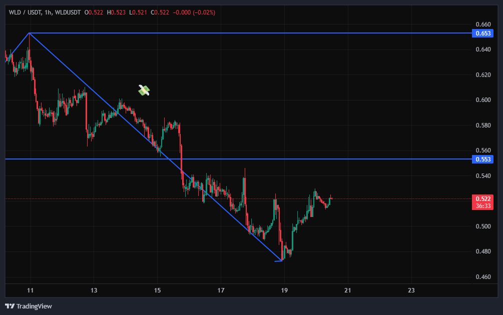 آغاز روند اصلاحی