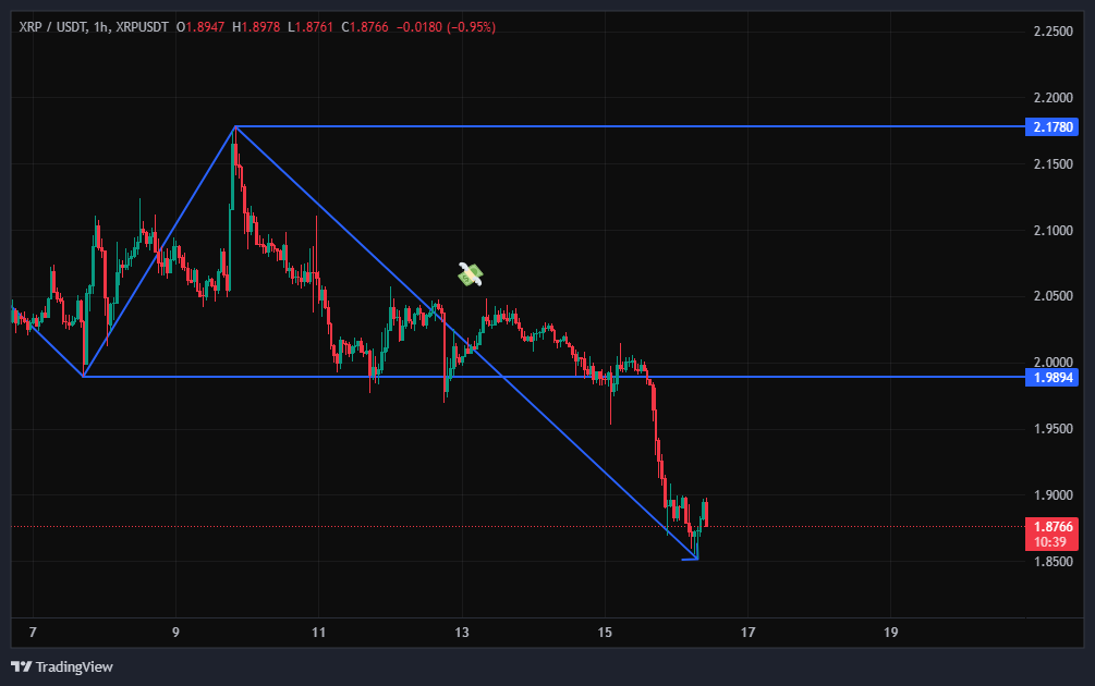 بیا از ریزش ریپل (XRP) سود کنیم