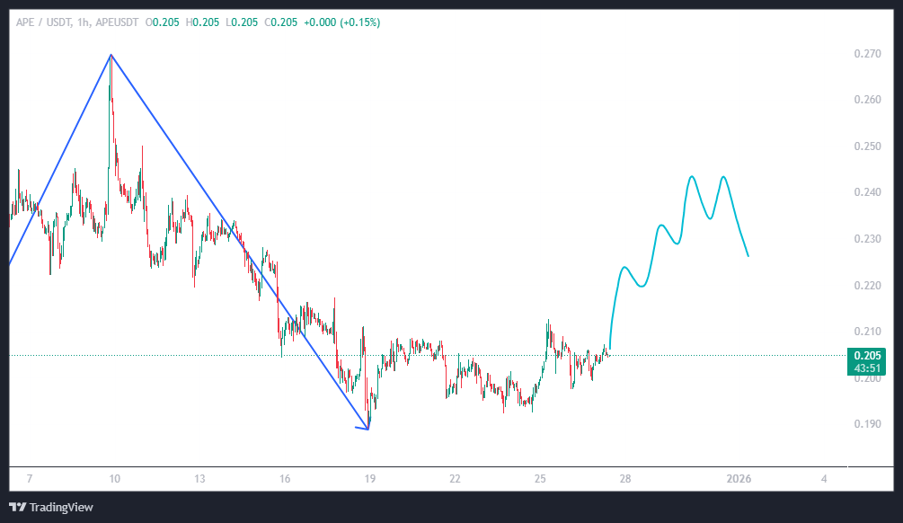 میم کوین میمونی