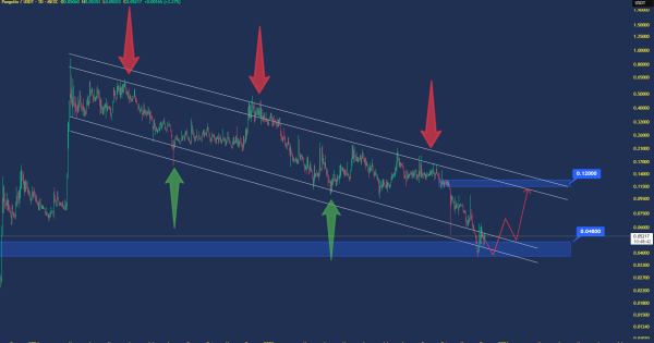 خرید قهرمان گمنام دنیای میم کوین ها
