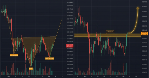 بازی اصلی تو آلت‌کوین‌هاست، بفهم!