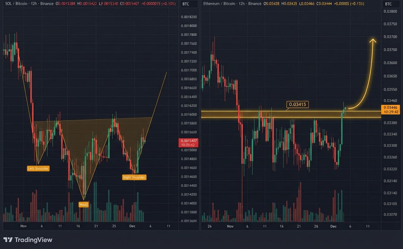 بازی اصلی تو آلت‌کوین‌هاست، بفهم!