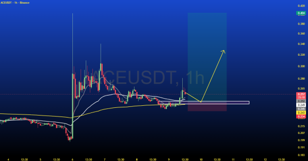 بیت کوین رو بیخیال این ارز میتونه سود بیشتری بهت بده