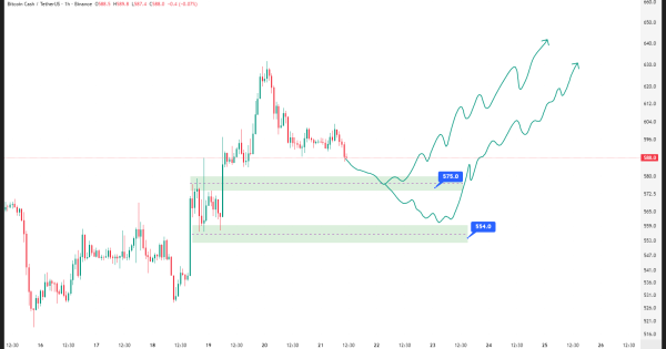 عبور از برزخ اصلاح در بیت کوین کش BCH