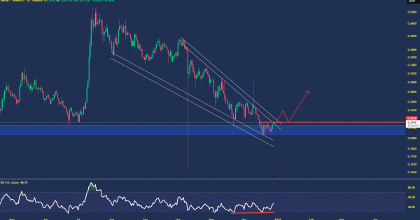 استلار از خواب زمستانی بیدار میشه؟