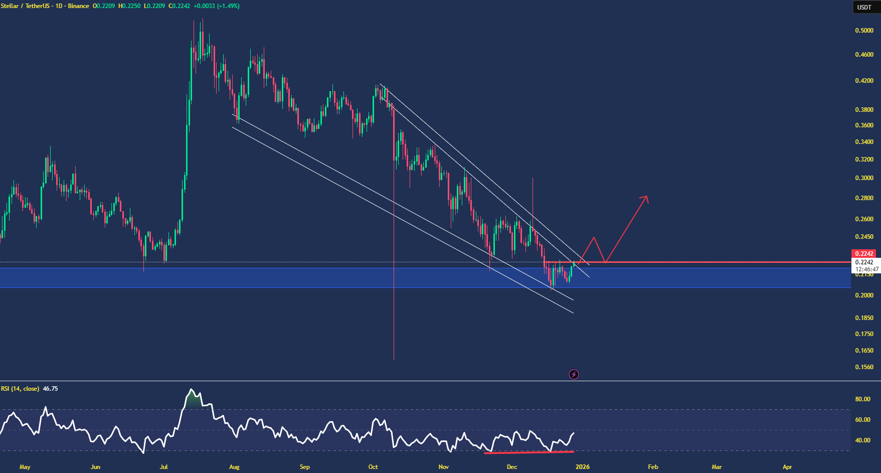استلار از خواب زمستانی بیدار میشه؟