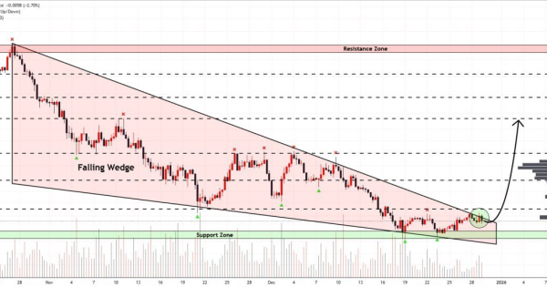شمارش معکوس برای شکستن قفس