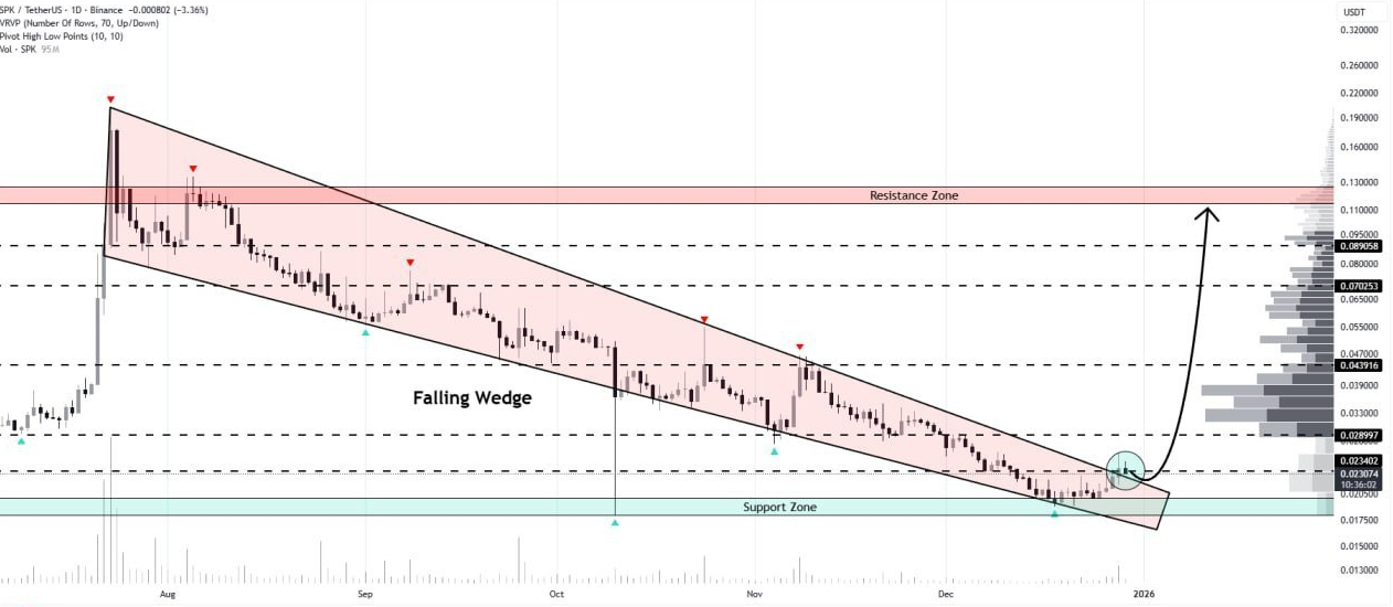 سیگنال طلایی از دل خاکستر