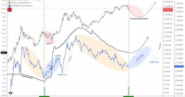 نقشه پنهان نهنگ‌ها برای ورود به آلت‌کوین‌ها