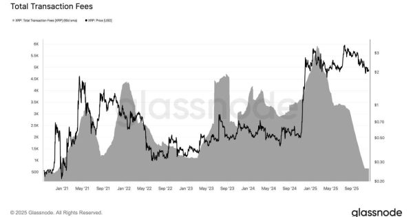 مرگ خاموش ریپل (XRP)، حقیقت تلخی که هولدرهای ریپل باید بدانند