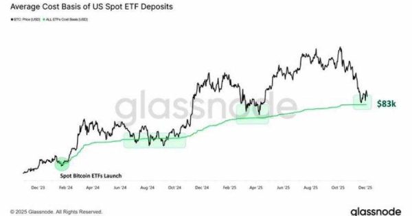 راز بزرگ نهنگ‌های بیت کوین فاش شد