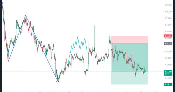 شیک و مجلسی، به همین خوشمزگی!
