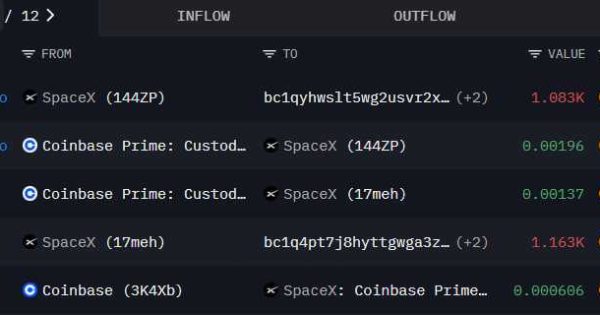 ایلان ماسک مقصر سقوط بیت کوین بوده؟