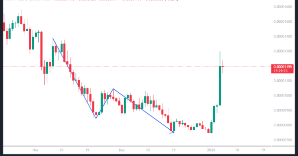 این میم کوین ترمز بریده